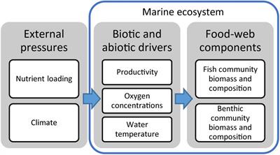 Combined Effects of Environmental Drivers on Marine Trophic Groups – A Systematic Model Comparison